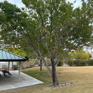 Meet your Posher, Kaitlyn